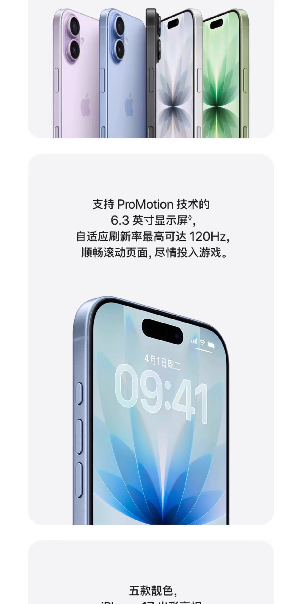 1760776251776486.jpg 12.jpg